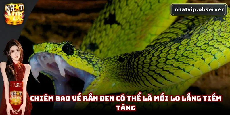 Mơ Thấy Rắn Là Xui Xẻo Hay May Mắn | Giải Mã Theo Dân Gian Chiêm bao về rắn đen có thể là mối lo lắng tiềm tàng