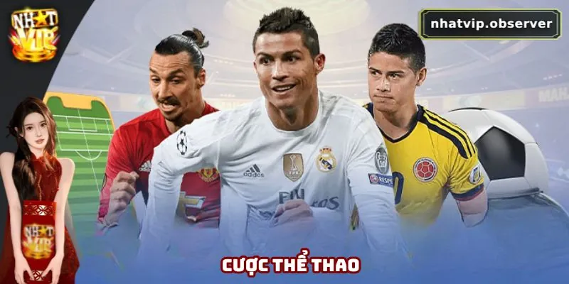 Sảnh chơi thể thao nhận được nhiều lượt yêu thích hiện nay